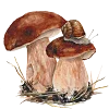 Emoji