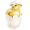 Emoji
