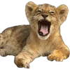 lion :: @fStikBot emoji
