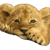 lion :: @fStikBot emoji