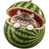 Кот на арбузе