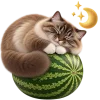 Кот на арбузе