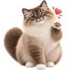 Кот на арбузе