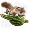 Кот на арбузе