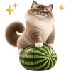 Кот на арбузе