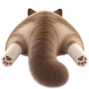 Кот на арбузе