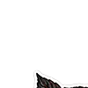 BDSM Шрифт