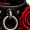 BDSM Шрифт