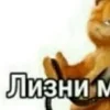 Булка да сколько можно