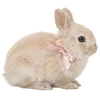 𝘾𝙪𝙩𝙚 𝙋𝙞𝙣𝙠 𝙎𝙩𝙮𝙡𝙚