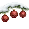 𝘾𝙪𝙩𝙚 𝙍𝙚𝙙 𝙎𝙩𝙮𝙡𝙚