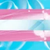 ༄  👩‍🍳༅lgbt 🌚🌚🌚 decor