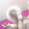 ༄  👩‍🍳༅lgbt 🌚🌚🌚 decor