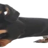 АААА ТАКСЫ ::