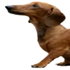 АААА ТАКСЫ ::