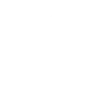 F1 adapt ! .