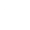 F1 adapt ! .