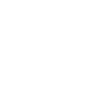 F1 adapt ! .