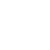 F1 adapt ! .