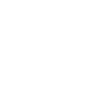 F1 adapt ! .