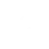 F1 adapt ! .
