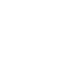 F1 adapt ! .