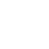F1 adapt ! .