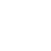 F1 adapt ! .