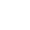 F1 adapt ! .
