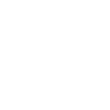 F1 adapt ! .