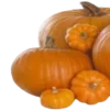 🦇 ݁ . ࣪ 𝐇𝐚𝐥𝐥𝐨𝐰𝐞𝐞𝐧 🎃. ݁ ⋆