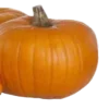 🦇 ݁ . ࣪ 𝐇𝐚𝐥𝐥𝐨𝐰𝐞𝐞𝐧 🎃. ݁ ⋆