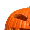 🦇 ݁ . ࣪ 𝐇𝐚𝐥𝐥𝐨𝐰𝐞𝐞𝐧 🎃. ݁ ⋆