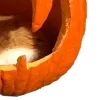 🦇 ݁ . ࣪ 𝐇𝐚𝐥𝐥𝐨𝐰𝐞𝐞𝐧 🎃. ݁ ⋆