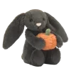 🦇 ݁ . ࣪ 𝐇𝐚𝐥𝐥𝐨𝐰𝐞𝐞𝐧 🎃. ݁ ⋆