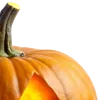 🦇 ݁ . ࣪ 𝐇𝐚𝐥𝐥𝐨𝐰𝐞𝐞𝐧 🎃. ݁ ⋆