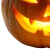 🦇 ݁ . ࣪ 𝐇𝐚𝐥𝐥𝐨𝐰𝐞𝐞𝐧 🎃. ݁ ⋆