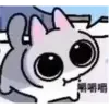 Кот