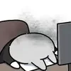 Кот