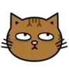 Коты