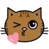 Коты