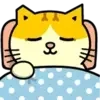 Коты