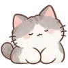 Lovely Cat Dog -