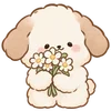 Lovely Cat Dog -