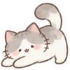 Lovely Cat Dog -
