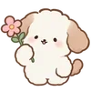 Lovely Cat Dog -