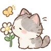 Lovely Cat Dog -