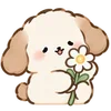 Lovely Cat Dog -