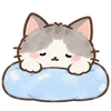 Lovely Cat Dog -