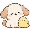 Lovely Cat Dog -